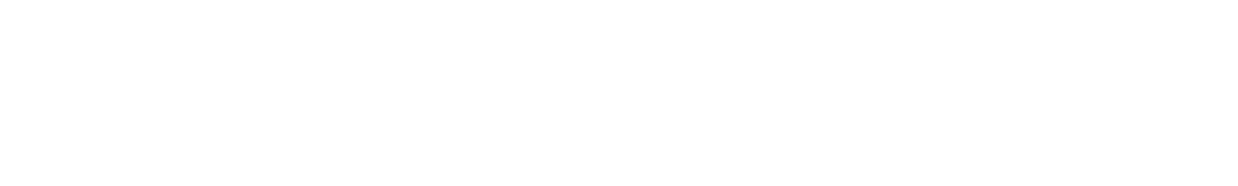 Logo_White Long